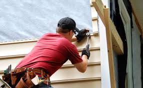 Best Vinyl Siding Installation  in Auburn, KY